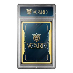 Vcard Promo Slab